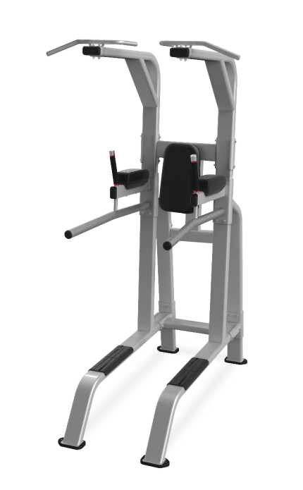 Nautilus Pull Up / Dip / Leg Raise